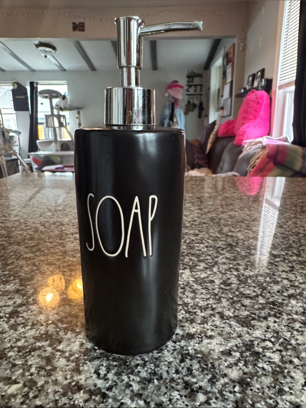 Rae Dunn Black Ceramic Soap Dispenser with Silver Pump